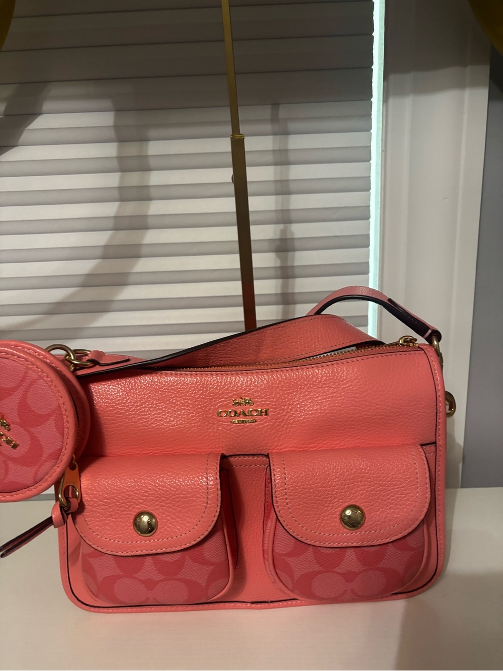Coach Penny Crossbody Bag